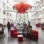 İngiltere Üniversiteleri