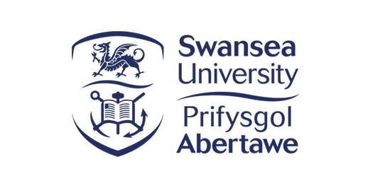 swansea üniversitesi, swansea university